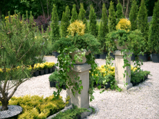 гадавальнікі раслін дэкаратыўныя расліны іглічныя лісцяныя дрэвы хмызнякі дрэвы садовы гадавальнік ў Польшчы