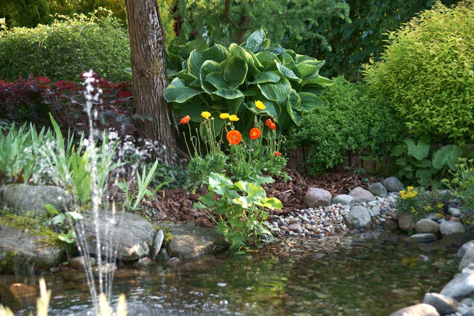 гадавальнікі раслін дэкаратыўныя расліны іглічныя лісцяныя дрэвы хмызнякі дрэвы садовы гадавальнік ў Польшчы