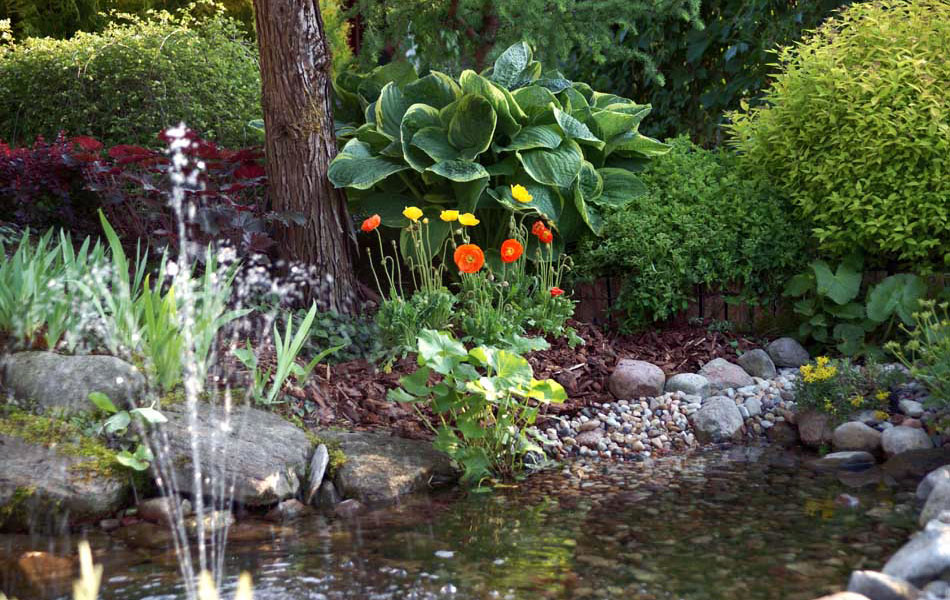 гадавальнікі раслін дэкаратыўныя расліны іглічныя лісцяныя дрэвы хмызнякі дрэвы садовы гадавальнік ў Польшчы